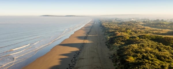 Drone shot of a coastline, displaying the sea, beach, and overlooking cliffs topped with greenery.